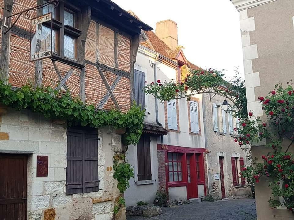 Le Meuble Monestois Villa Mennetou-sur-Cher Exterior photo